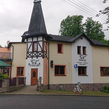 Penzion U bílého jaka Vilemov  Extérieur photo
